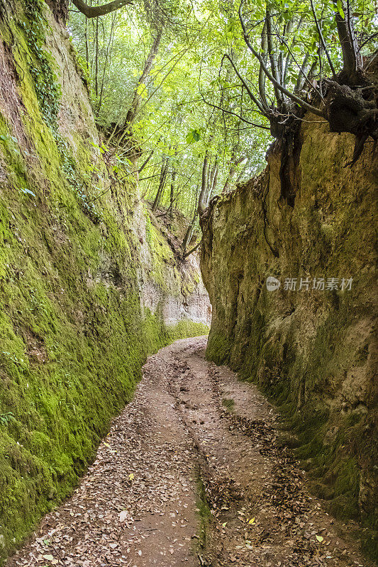 皮蒂利亚诺托斯卡纳的Vie Cave